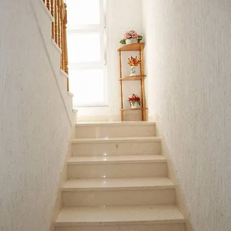 Ivic Vodice